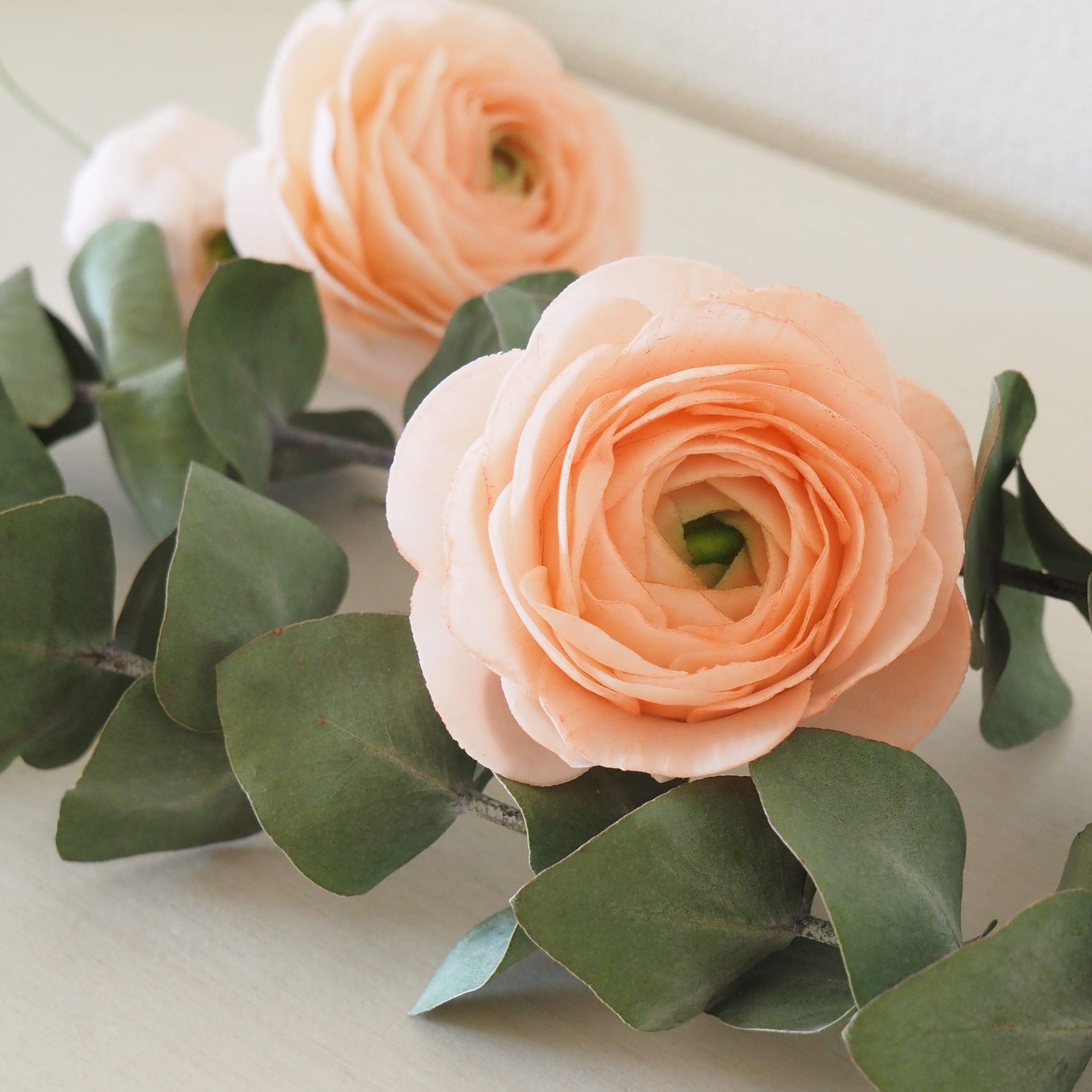 シュガーキューブ